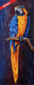 Coco's Parrot 2 – Acrylique sur MDF - 84cm x 31cm - VENDU