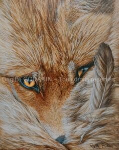 L'Ecrivain des forêts – Acrylique sur toile - 24cm x 30cm