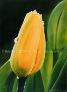 Rosée du matin – Acrylique sur MDF - 49cm x 40cm